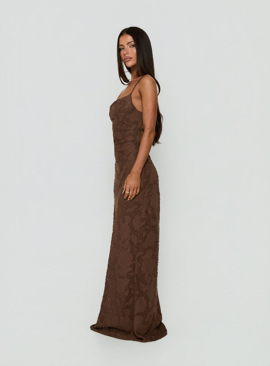 Celena Maxi Dress Brown · photo 3