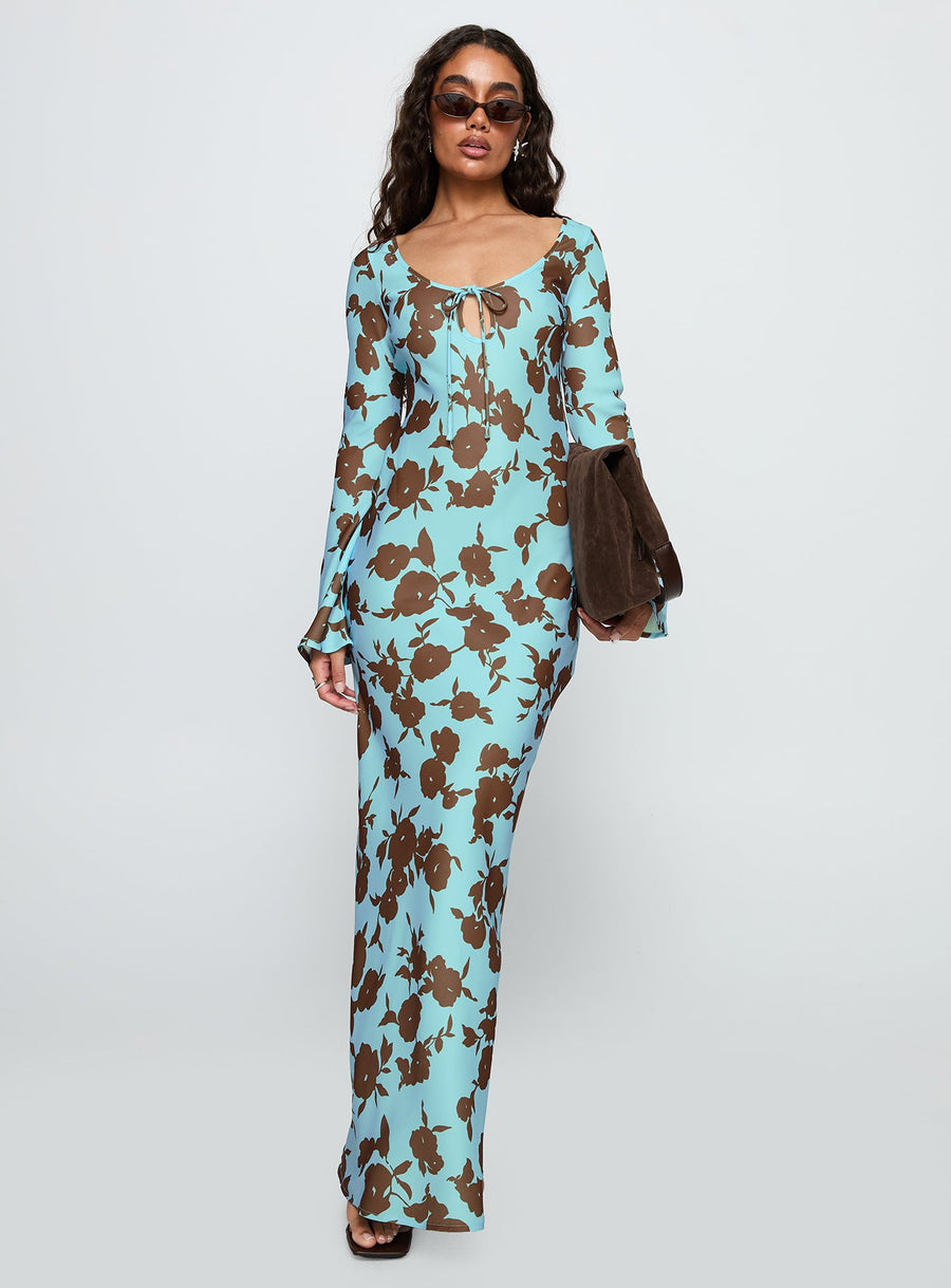 Elorie Long Sleeve Maxi Dress Blue / Brown · photo 3