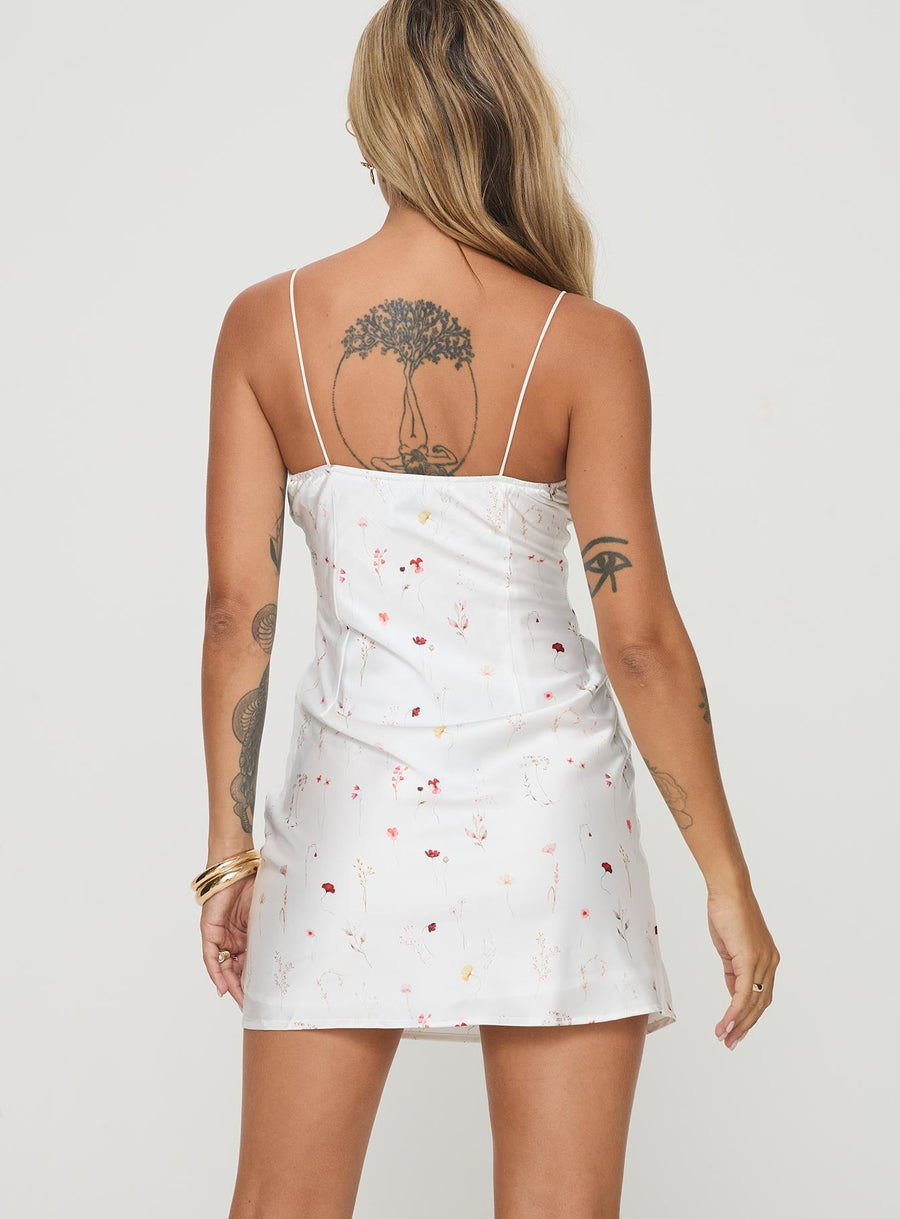Snowbird Mini Dress White / Floral · photo 5