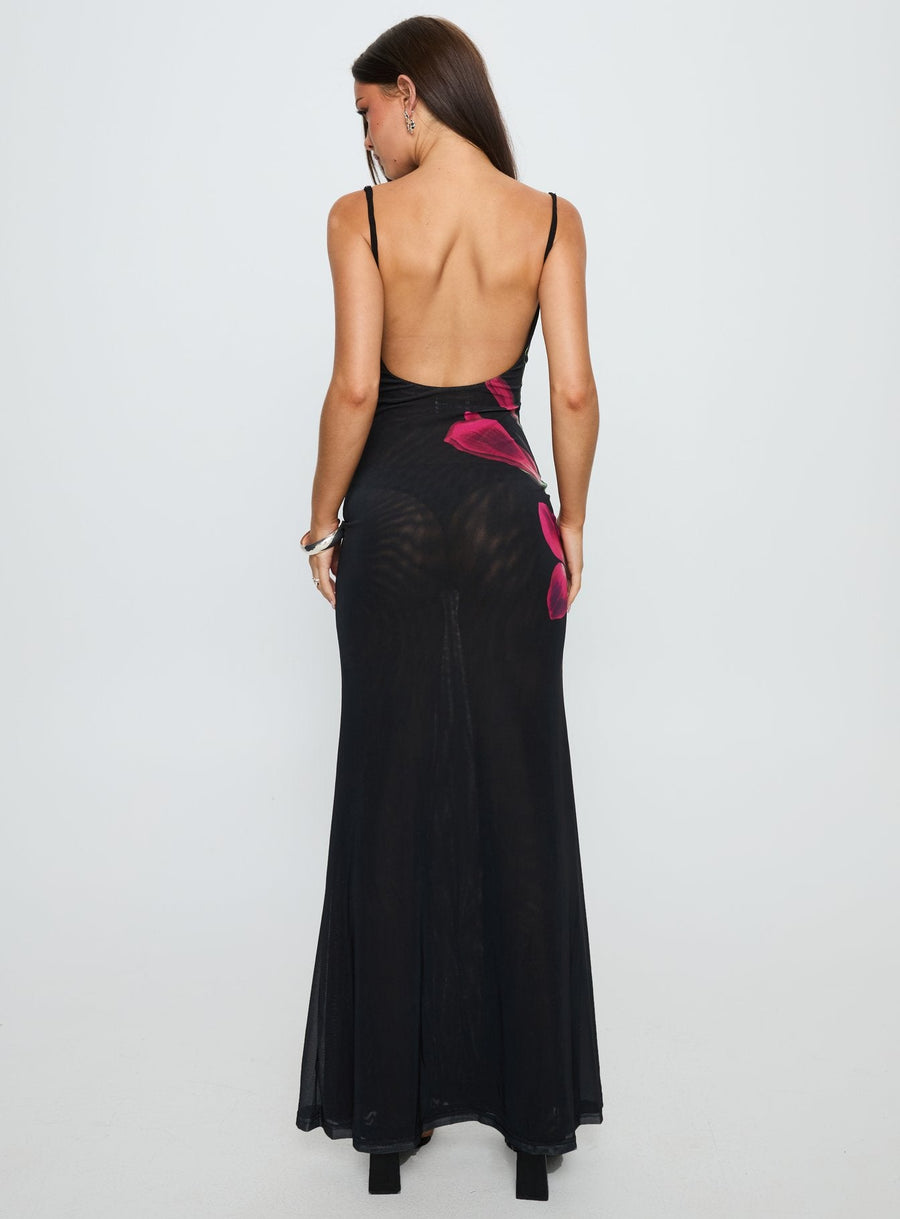 Fiadora Mesh Maxi Dress Black Floral · photo 5