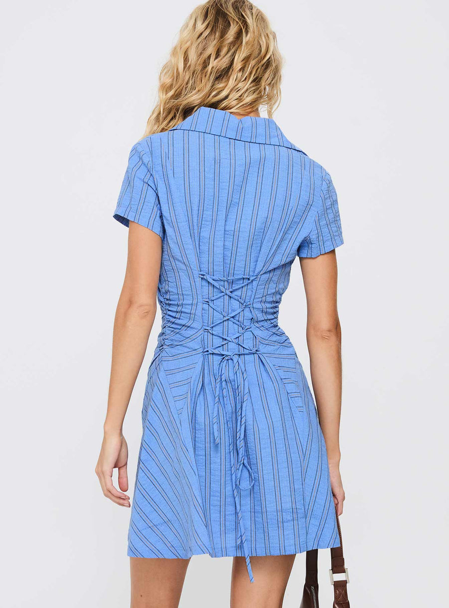 Saydie Button Down Mini Dress Blue Stripe · photo 4