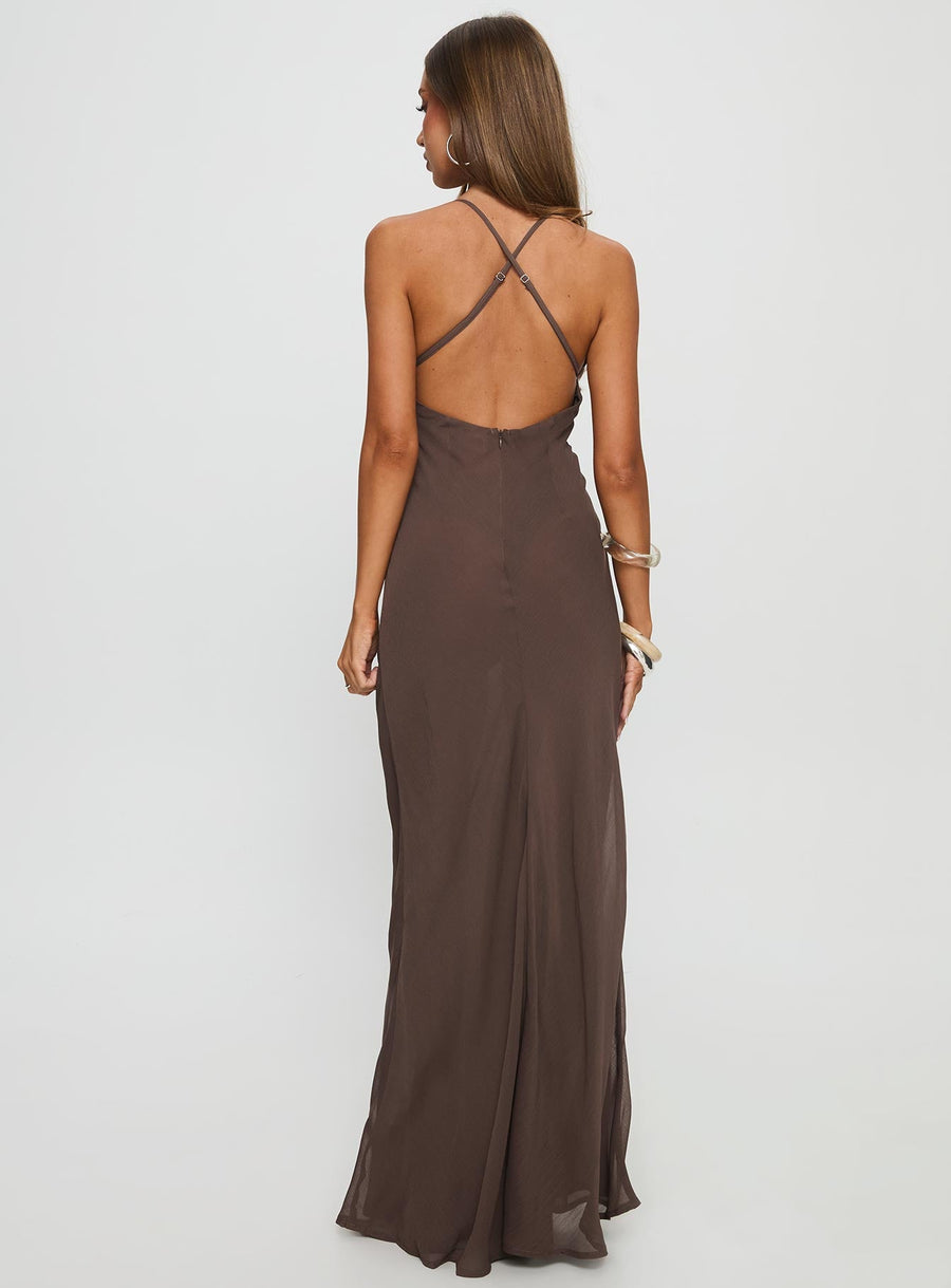 Dannelle Sequin Maxi Dress Brown · photo 5