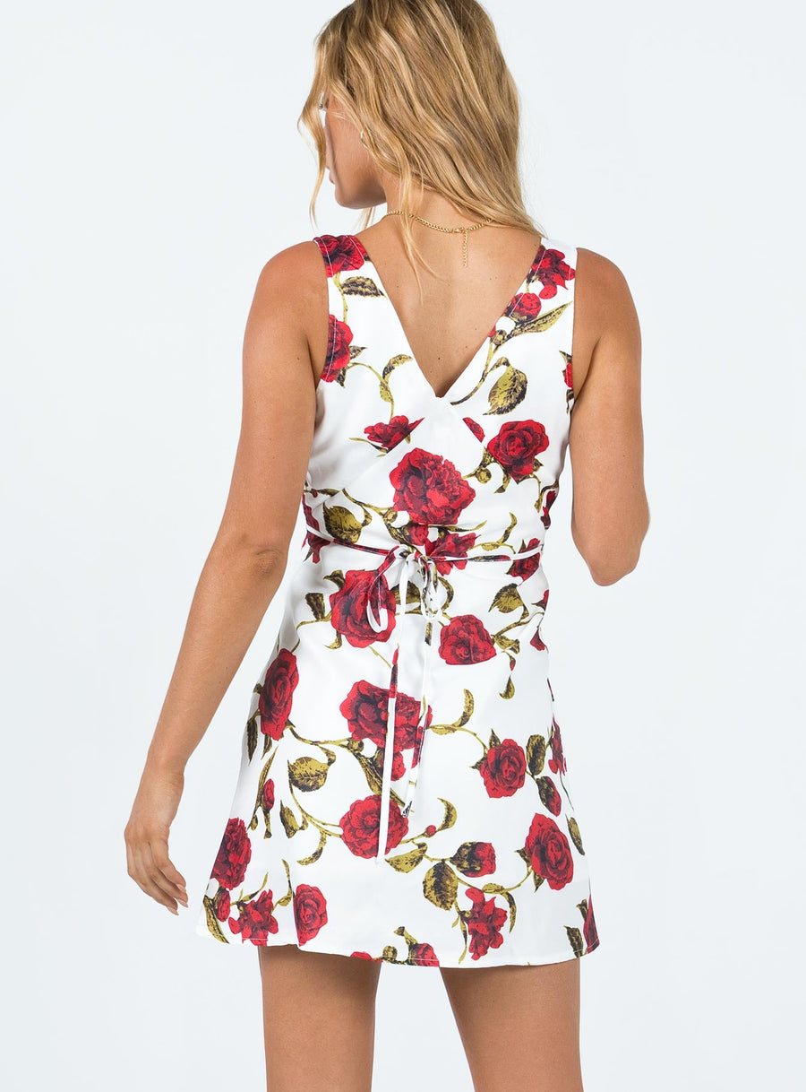 Nellie Mini Dress White / Red Floral · photo 5