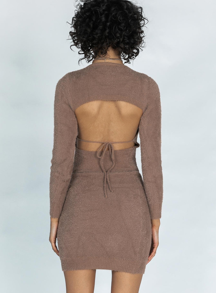 Dani Mini Dress Brown · photo 4