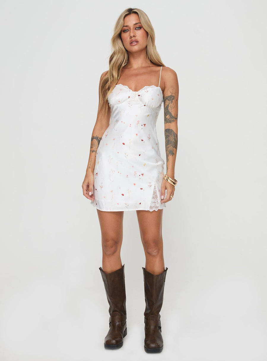 Snowbird Mini Dress White / Floral · photo 7