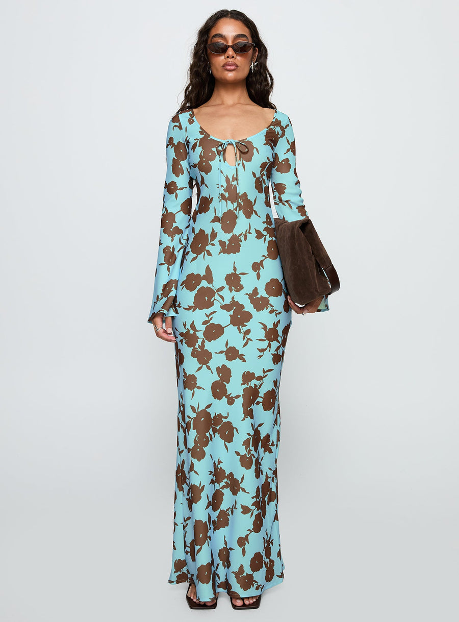 Elorie Long Sleeve Maxi Dress Blue / Brown · photo 7