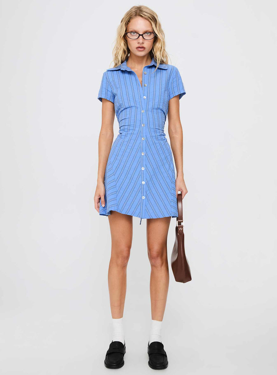 Saydie Button Down Mini Dress Blue Stripe · photo 6