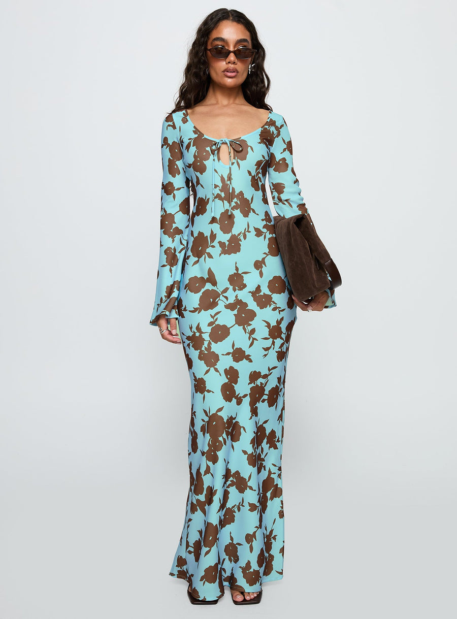 Elorie Long Sleeve Maxi Dress Blue / Brown · photo 2