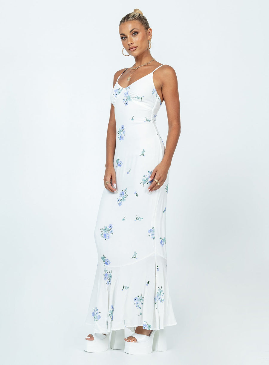 Sing Along Maxi Dress White / Blue · photo 4