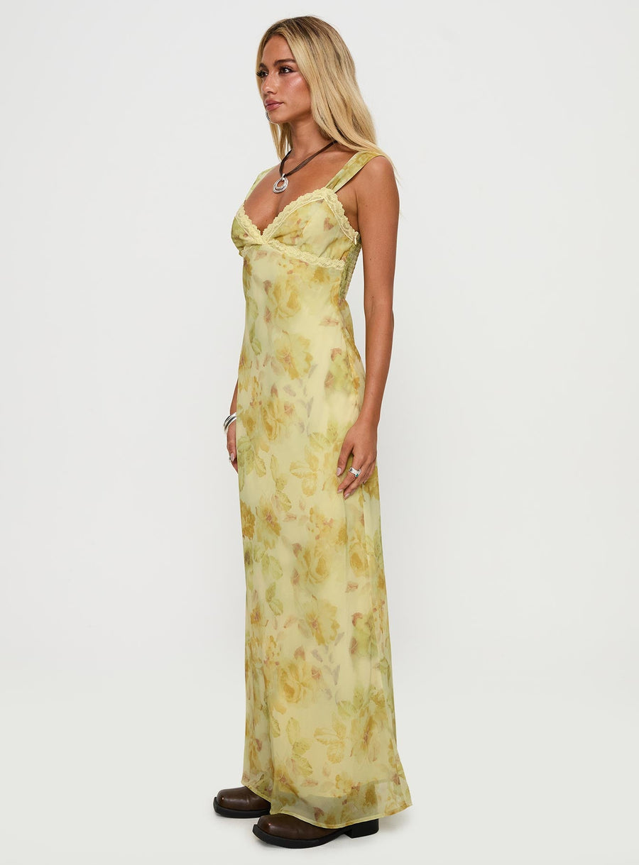 Fernwood Maxi Dress Yellow Multi · photo 4
