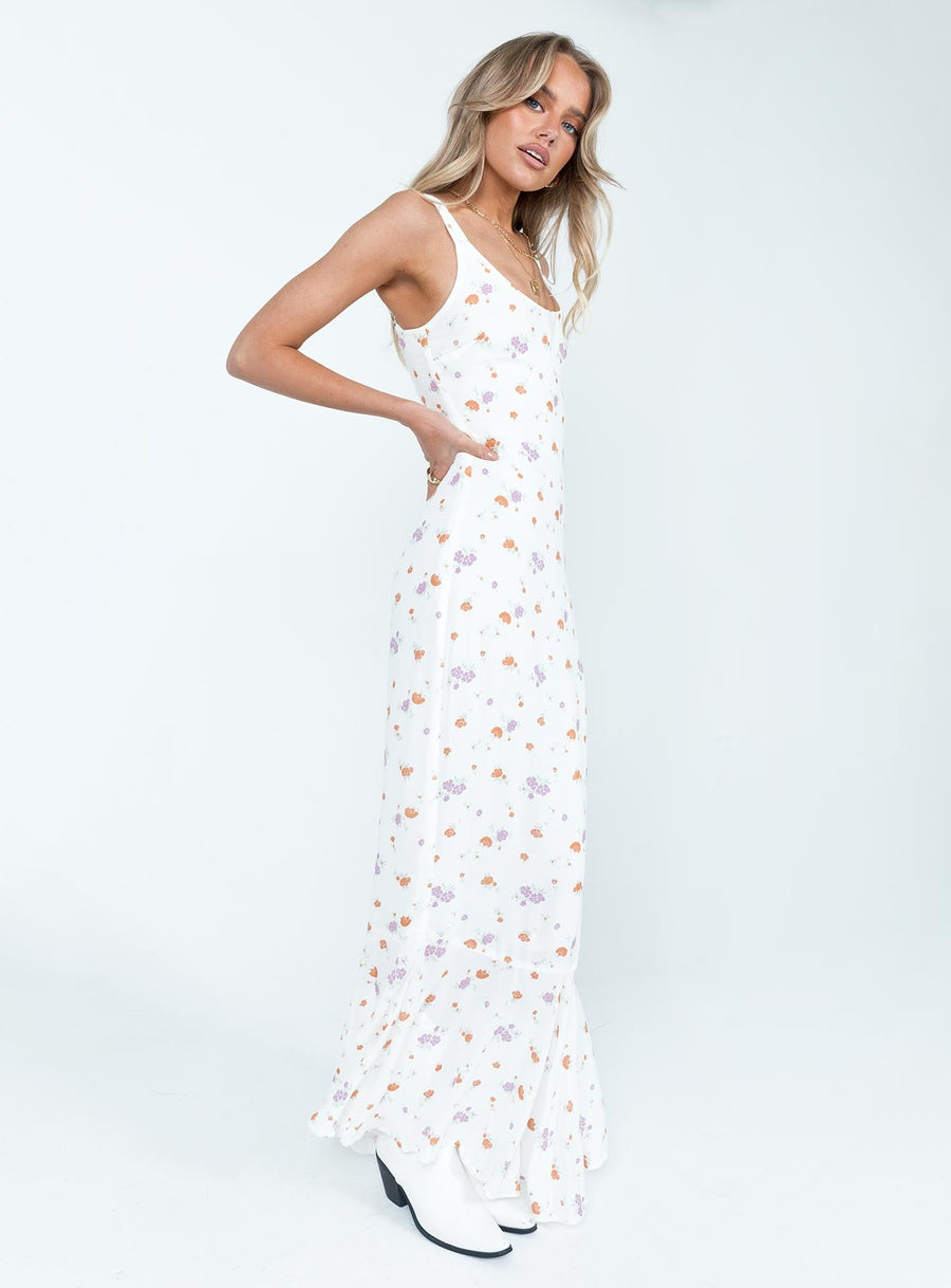Curtis Maxi Dress Multi · photo 4