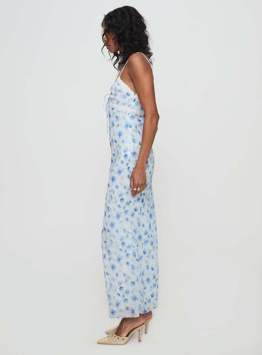 Emily Maxi Dress Blue Floral · photo 4