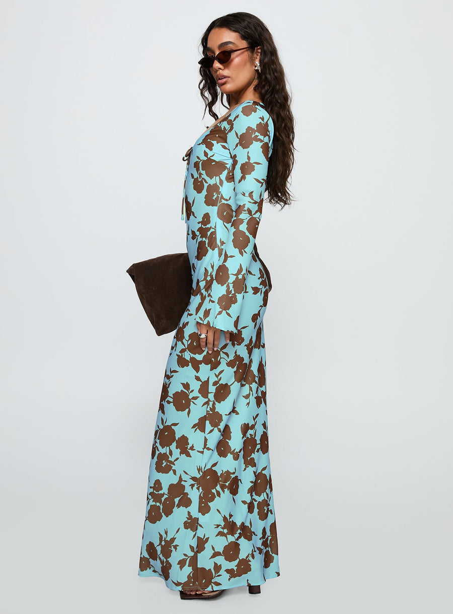 Elorie Long Sleeve Maxi Dress Blue / Brown · photo 4