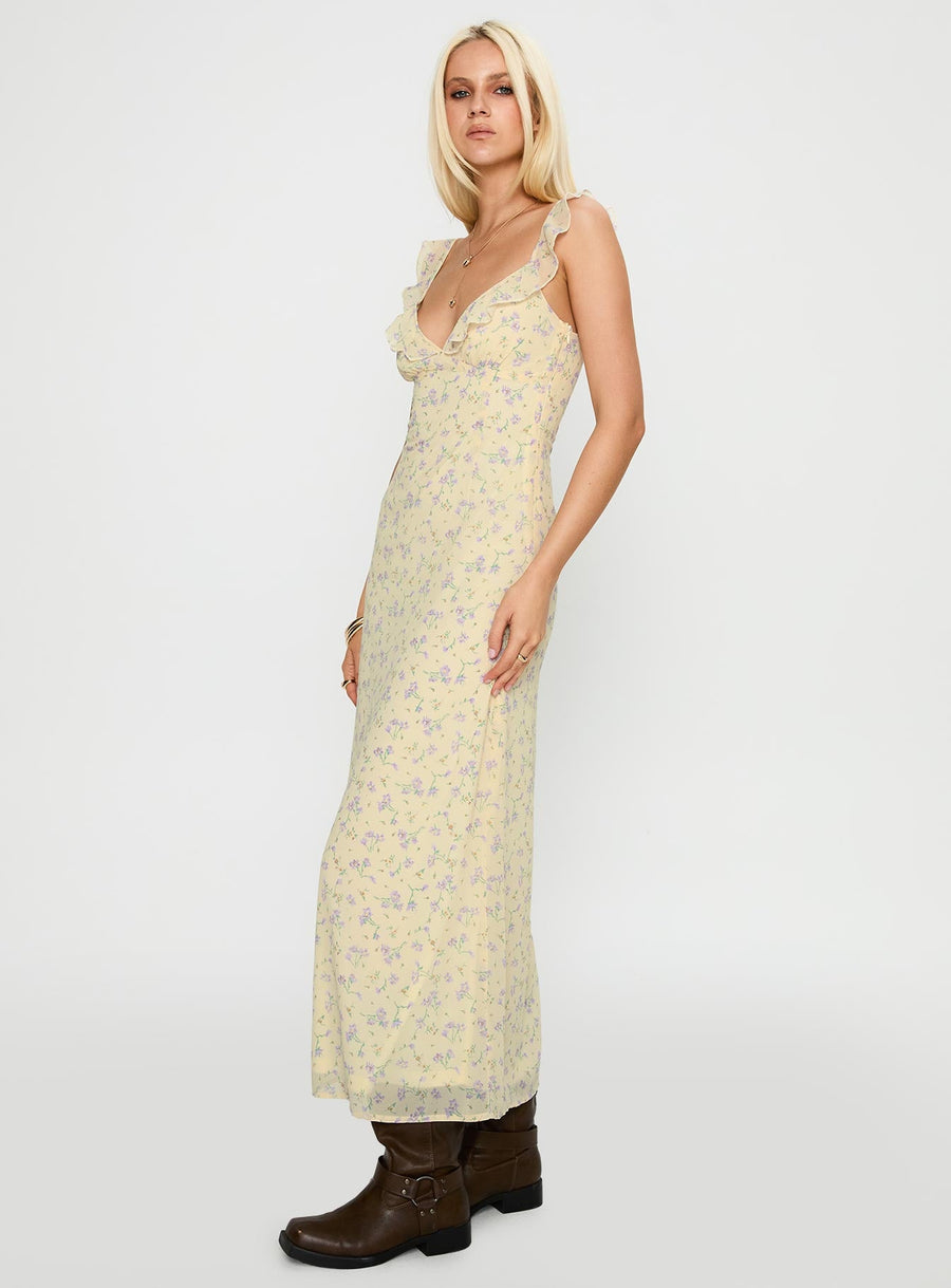 Jayne Frill Maxi Dress Multi · photo 3