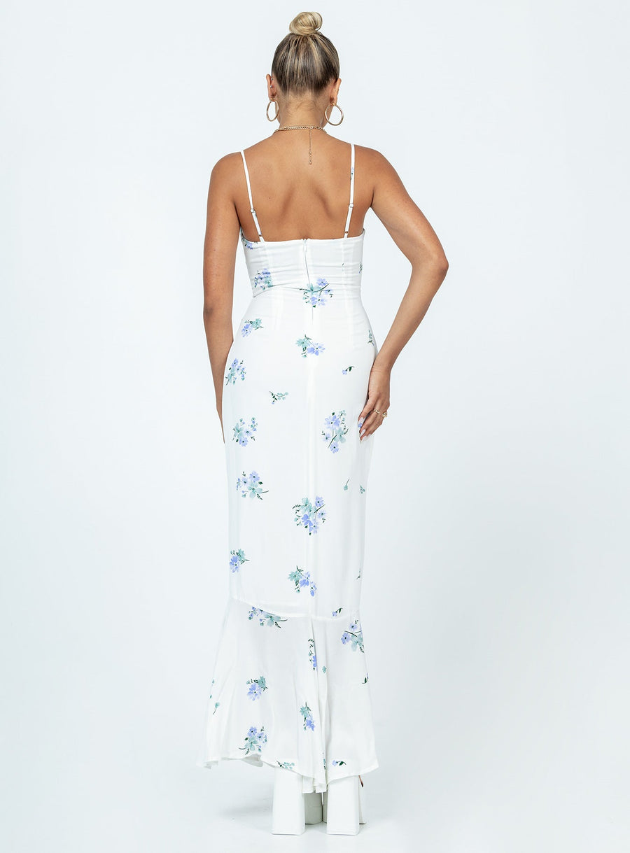 Sing Along Maxi Dress White / Blue · photo 5