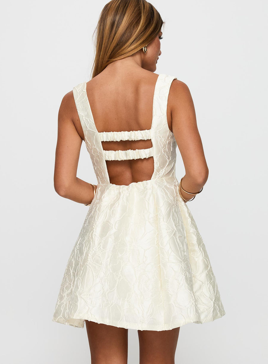 Eloquent Mini Dress Ivory · photo 5