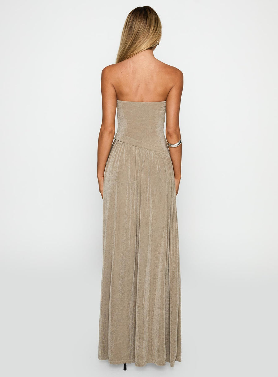 Inka Strapless Maxi Dress Taupe · photo 5