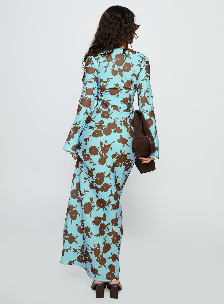Elorie Long Sleeve Maxi Dress Blue / Brown · photo 5