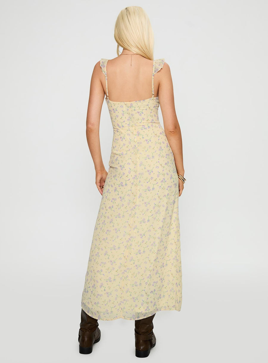 Jayne Frill Maxi Dress Multi · photo 4