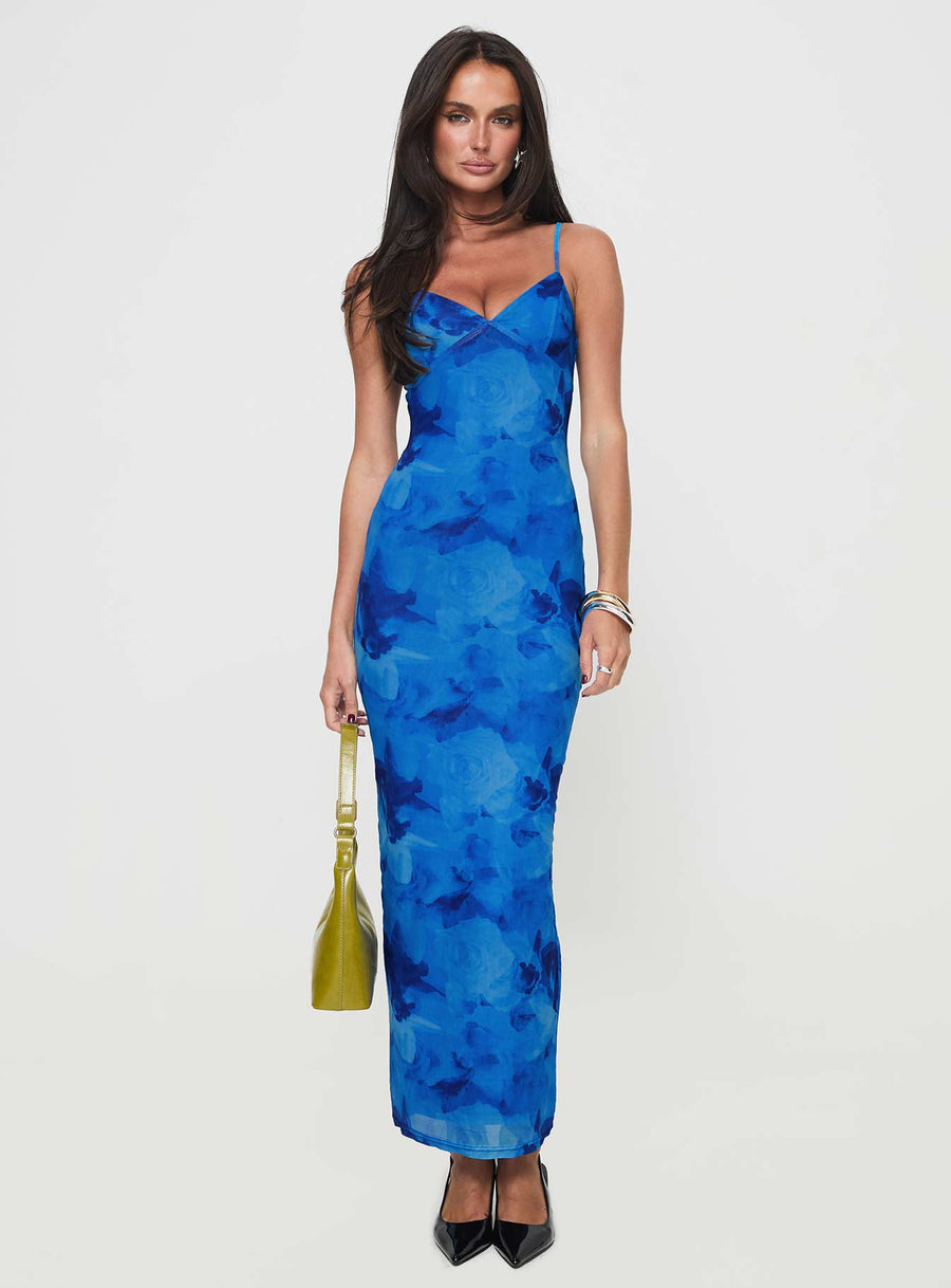 Hathaway Maxi Dress Blue Floral · photo 7